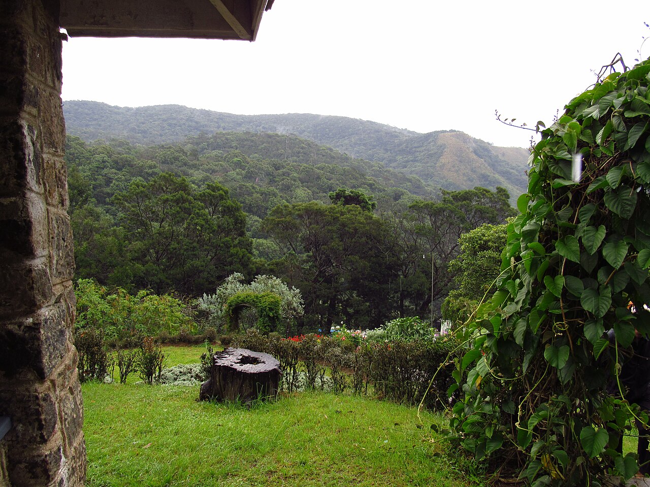 Garden beds and forested hills at Hakgala Botanical Garden