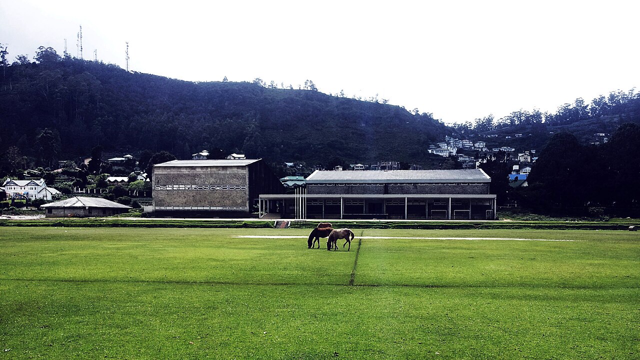 Horses grazing on the racecourse ground in Nuwara Eliya town