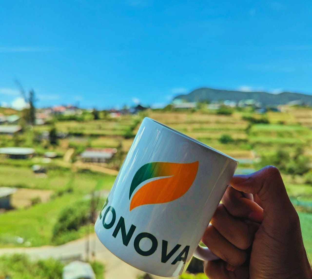 Tea-country mornings — Zonova Mist Guest House, Nuwara Eliya